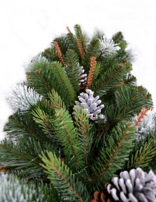 -   Tree-Style